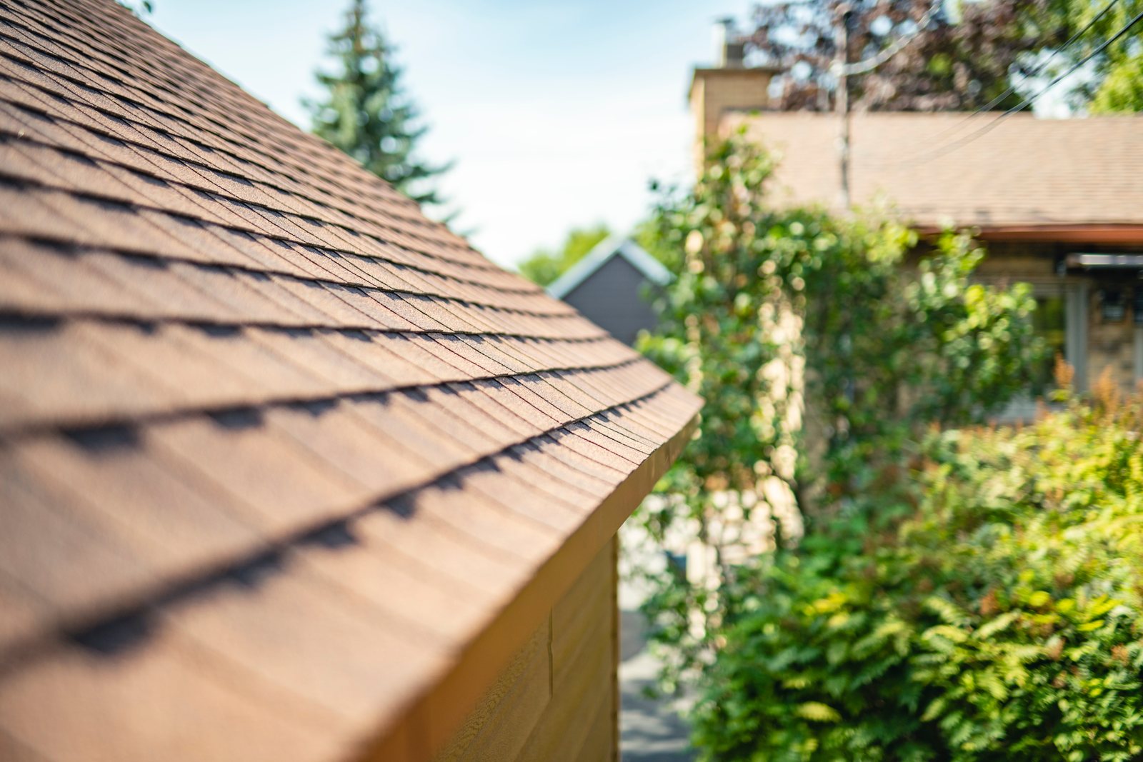 Close-up of the ridge and edge of a brown architectural shingle roof on a home surrounded by trees