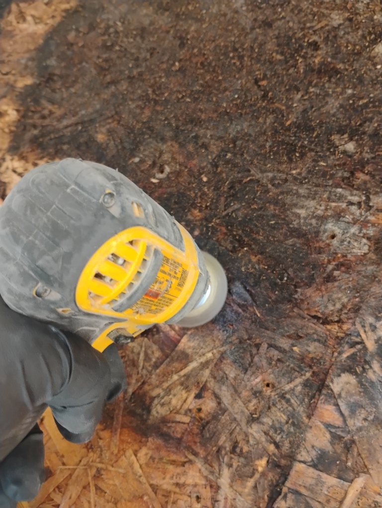 Fixins technician treating mold-stained subfloor sheathing during remediation in Colorado Springs